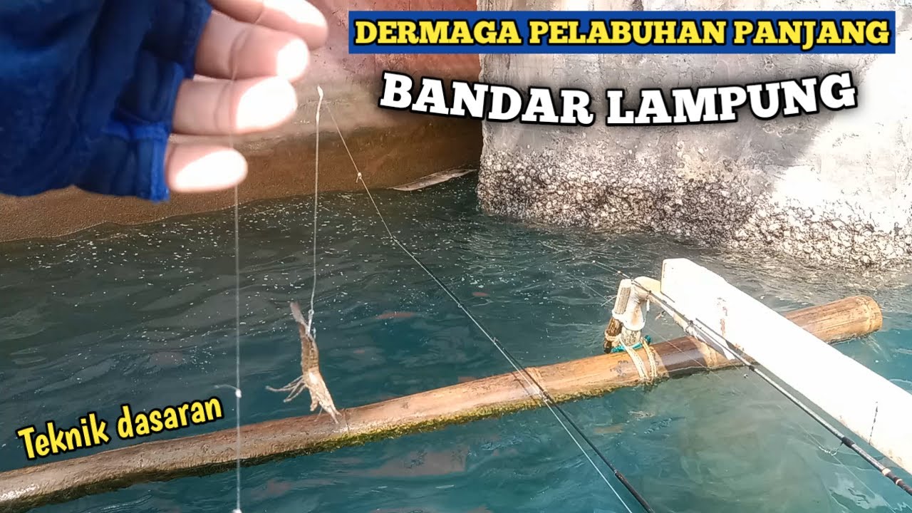 Mancing ikan di kolong dermaga !!! DERMAGA PELABUHAN PANJANG BANDAR LAMPUNG