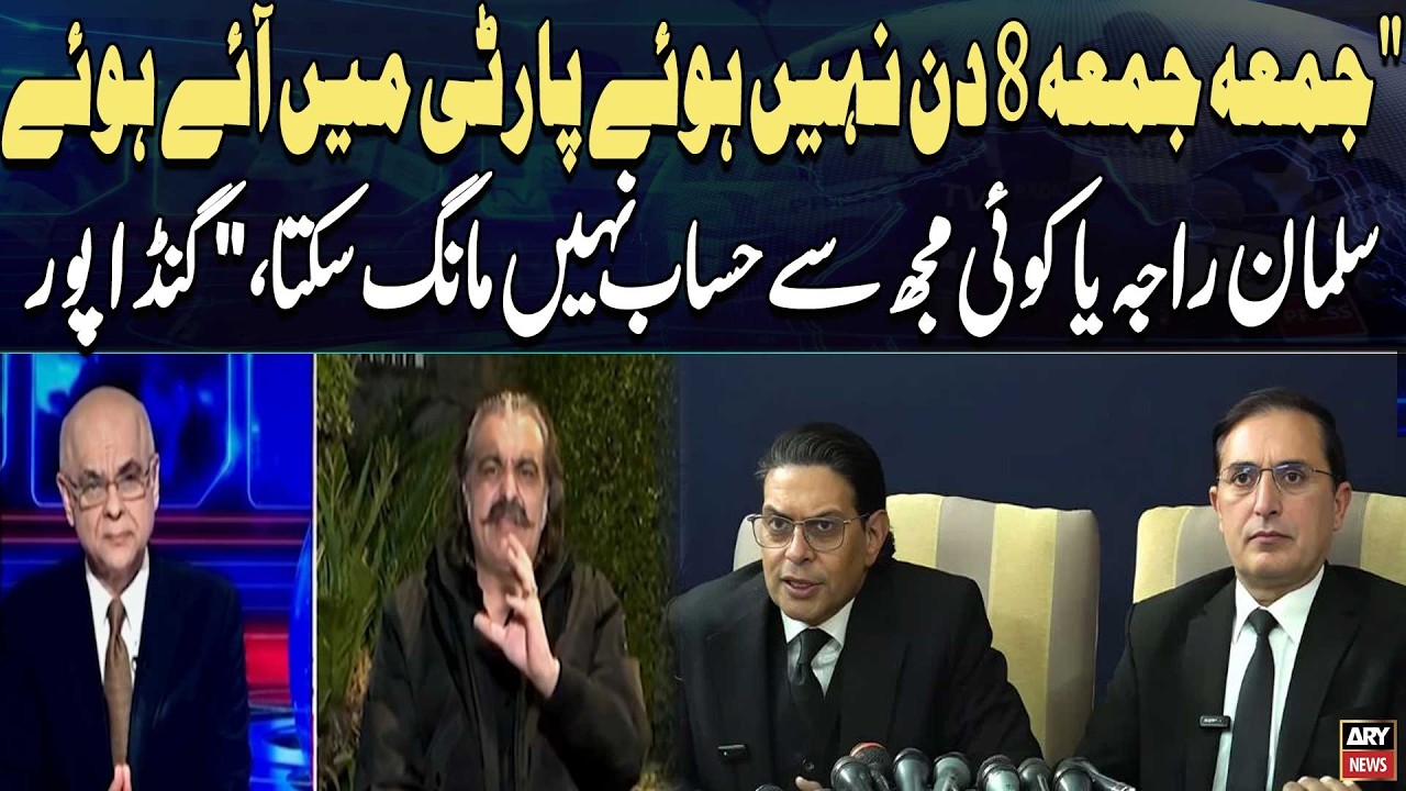 Ali Amin Gandapur Bashes on Salman Akram Raja