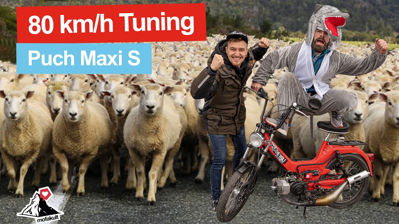 ÜBER 80KM/H MIT UNSEREM PUCH MAXI S PROJEKT | Wolf im Schafspelz