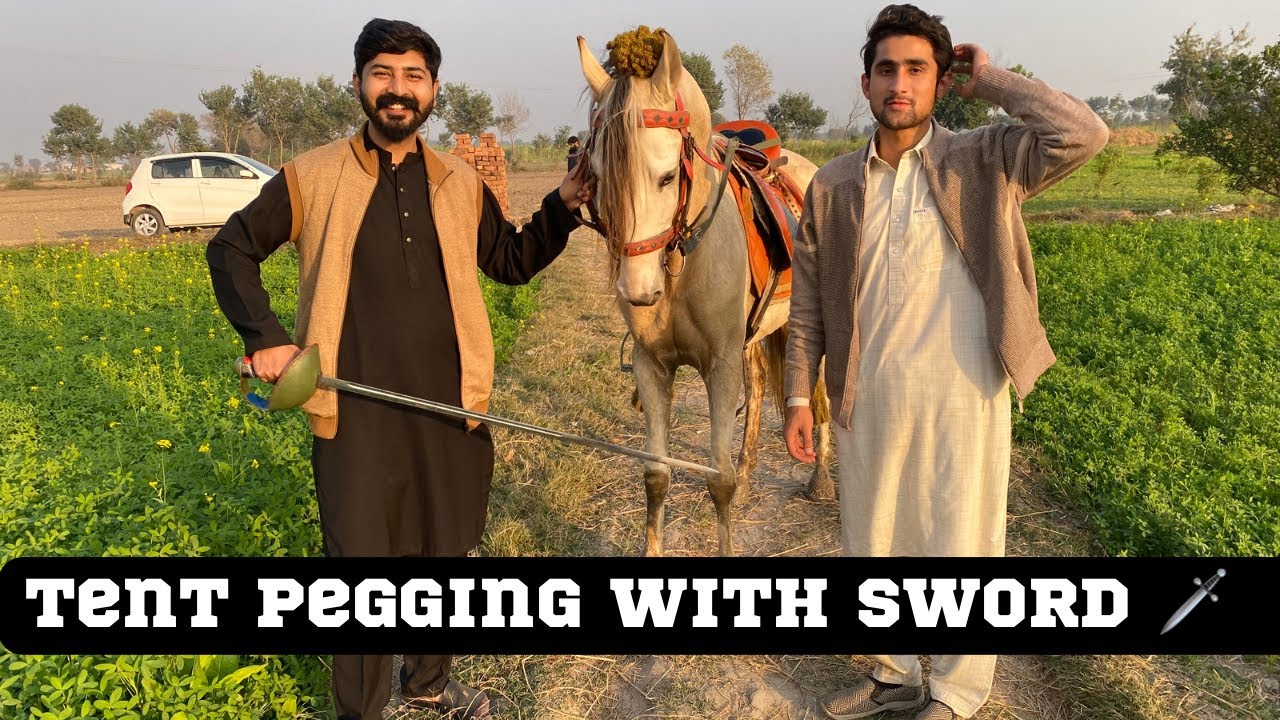 International tent pegging | Neza Bazi | Tent pegging with sword 🗡️