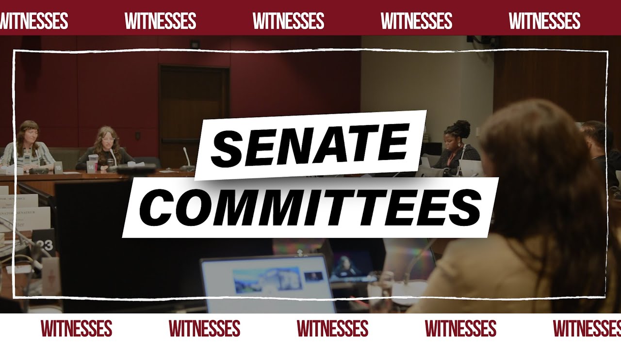 Senate Committees: Witnesses
