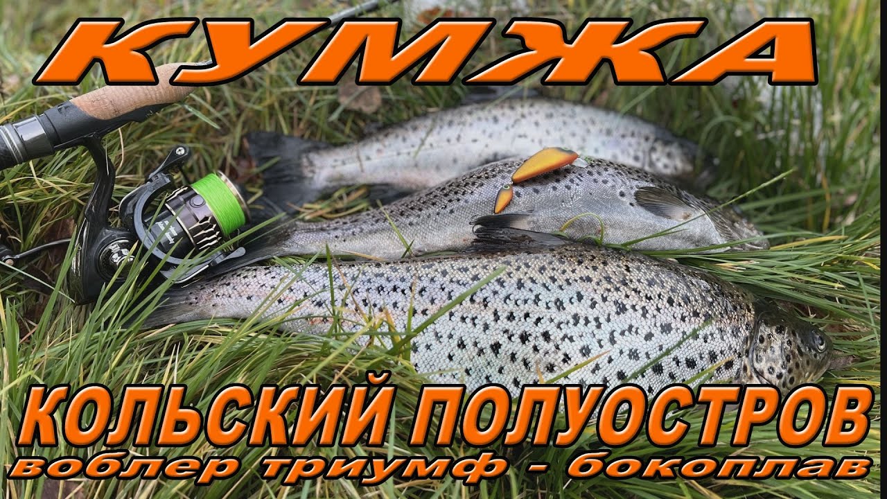Воблер ТРИУМФ БОКОПЛАВ -  КУМЖА Кольский полуостров.
