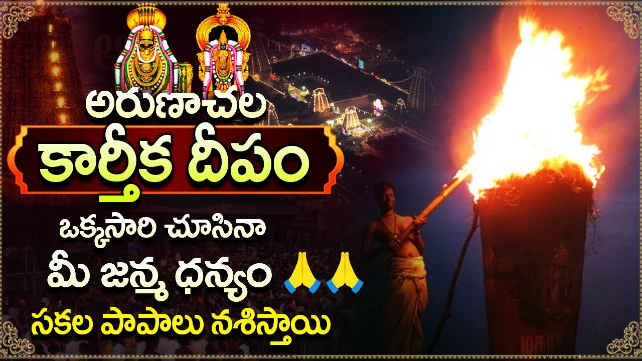 కార్తీక మాసంలో అరుణాచల అఖండ జ్యోతి దర్శనం | Arunachala Karthika Jyothi darshanam | Arunachalam