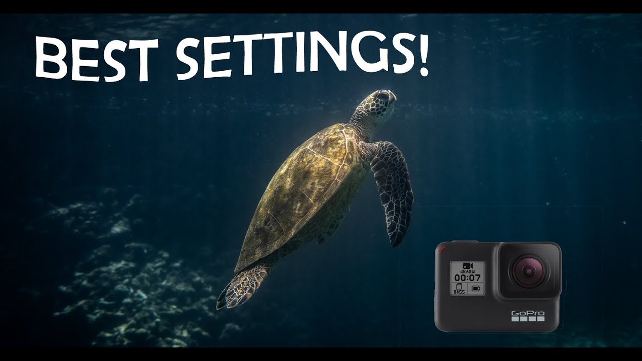 BEST gopro settings for filming UNDERWATER