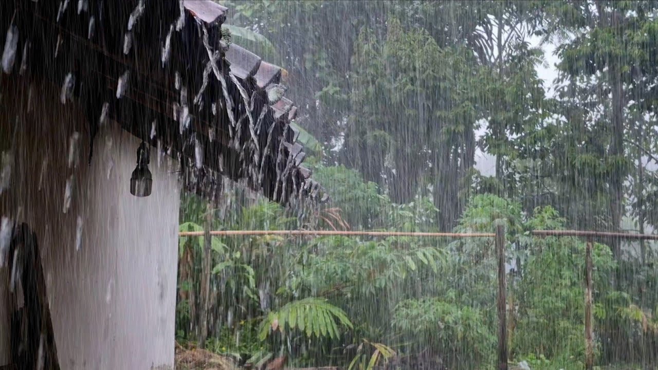 Heavy Rain Sounds 🌧️ Fall Asleep in Minutes | Deep Sleep Therapy