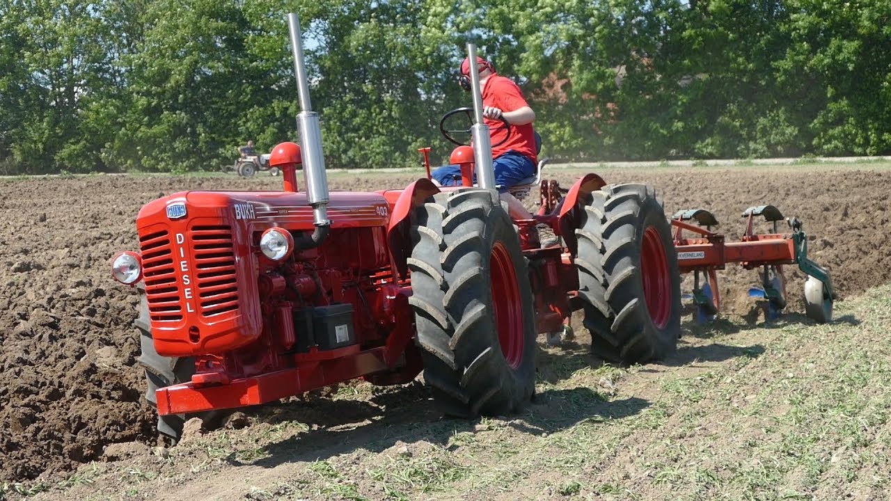 Tandem Tractors Working in The Field at Ferguson Days | Bukh, Ferguson & MF | DK Agri