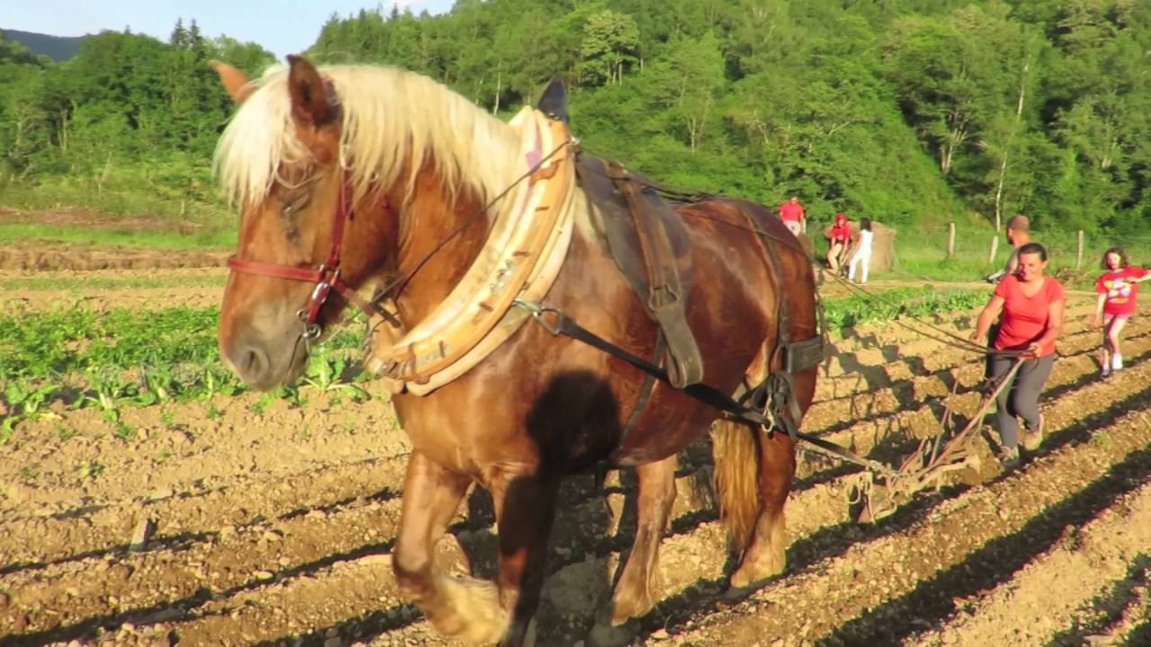 La ferme du Matet lauréat du concours fermes d’avenir 2016