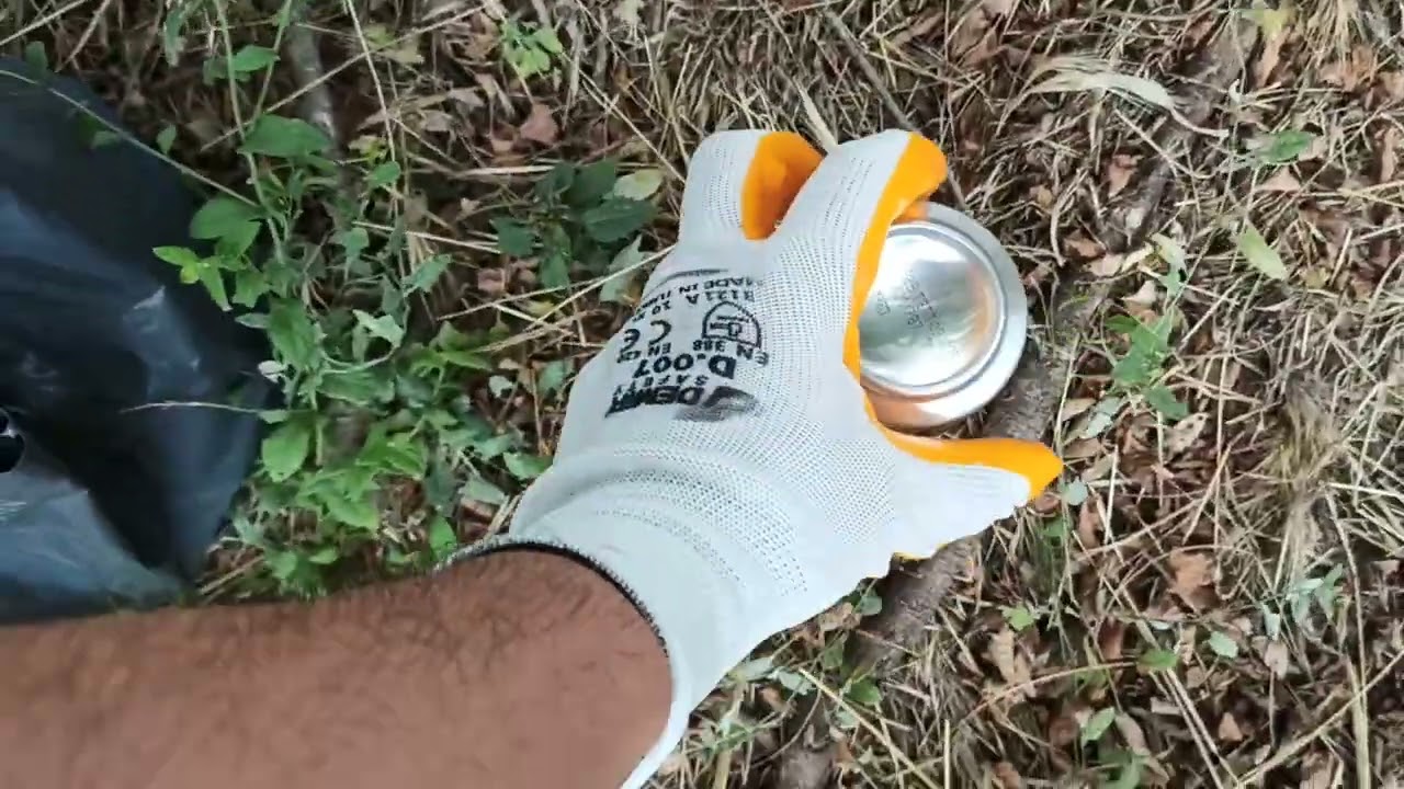 Yol Kenarında Gizli Hazineler Var mı? Alüminyum Kutu Toplama