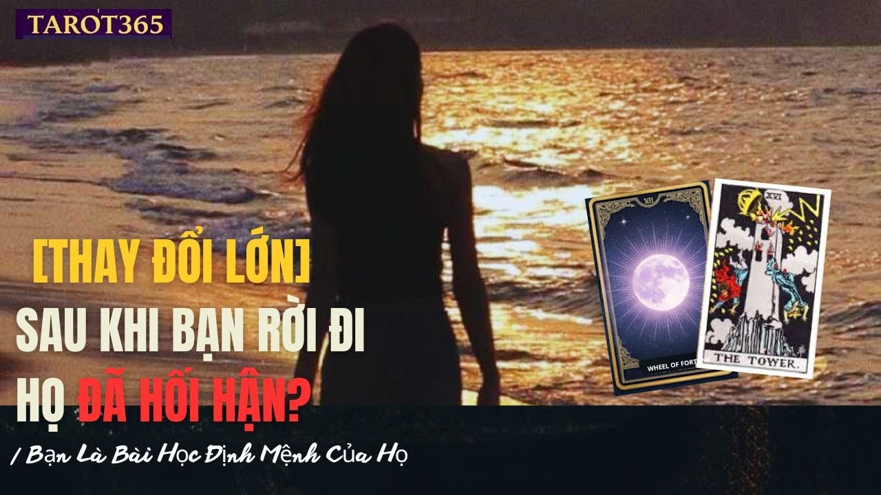 TAROT 365 | [THAY ĐỔI LỚN] Sau Khi Bạn Rời Đi, HỌ ĐÃ HỐI HẬN?