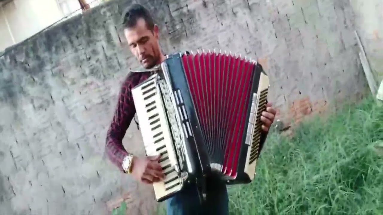 Forró Fundo de Quintal - Deni Sanfoneiro