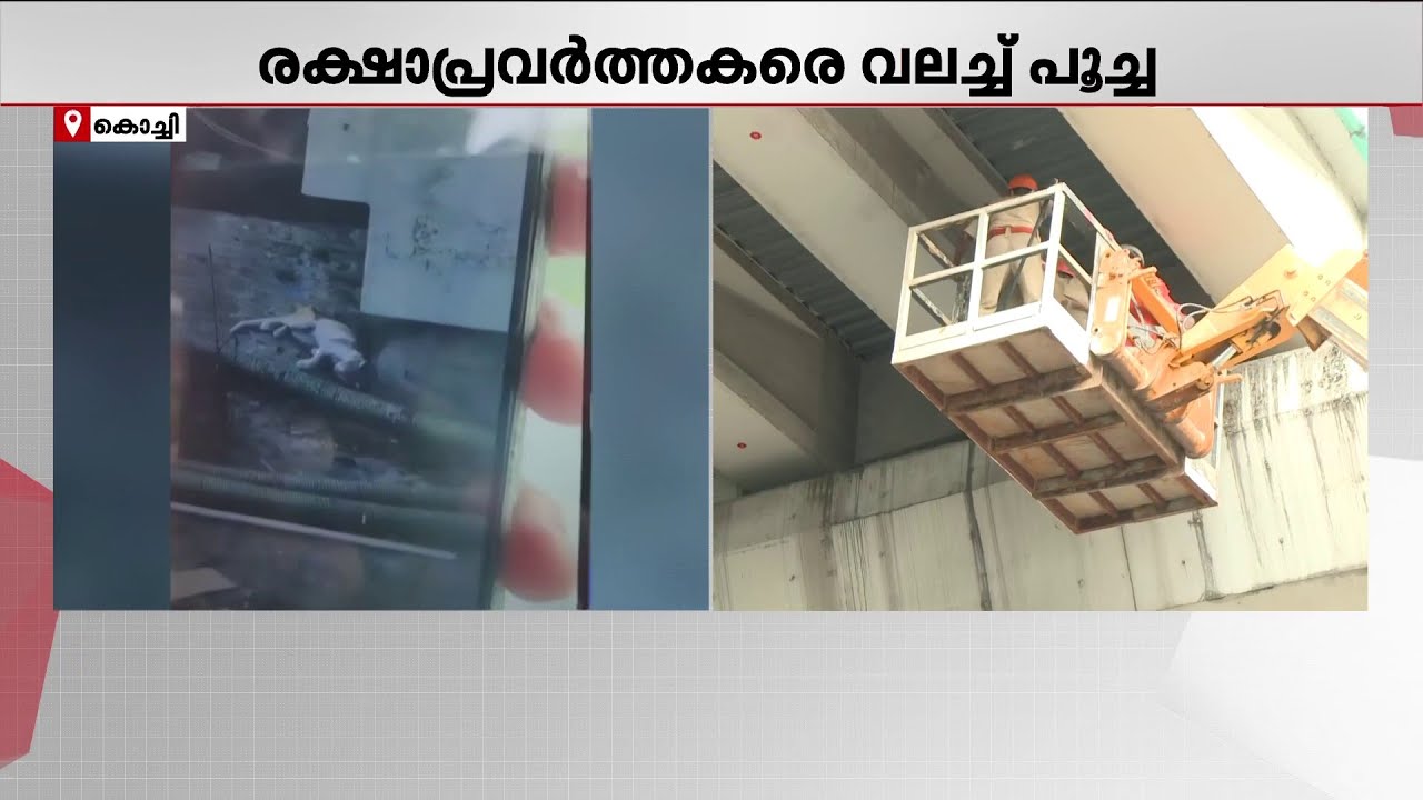 മെട്രോ പില്ലറില്‍ കുടുങ്ങിയ പൂച്ചയെ രക്ഷിക്കാനുള്ള ദൗത്യം ഉടന്‍ തുടങ്ങും  | Kochi Metro Cat Rescue
