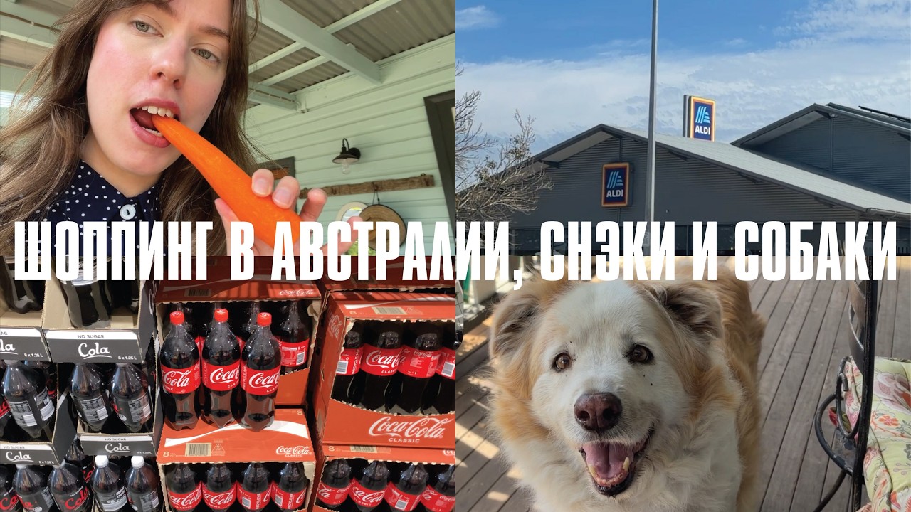 vlog: шоппинг в Австралии, снэки и собаки // катя с луны?