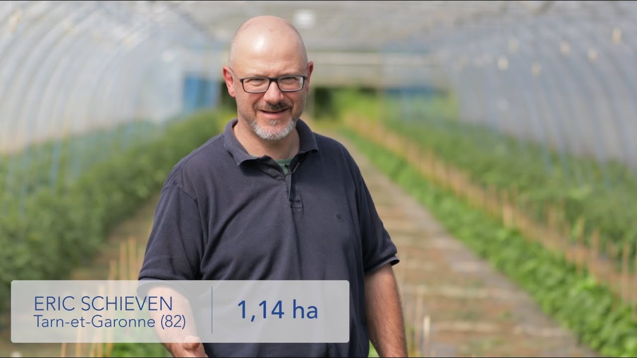 W jaki spos&oacute;b, trwale poprawić rentowność upraw warzyw wykorzystując naturalne produkty? &ndash; PL
