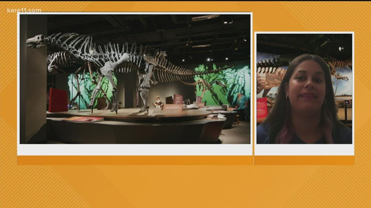 Science Museum of Minnesota launches new dinosaur exhibit this weekend