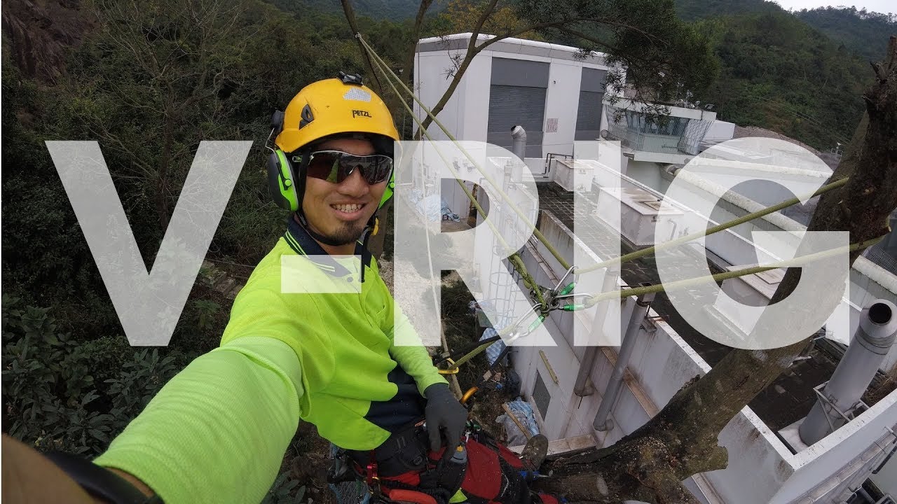 [ Hong Kong Tree Work 香港攀樹工作 ] Work with V-Rig Removal, Rigging - Hong Kong