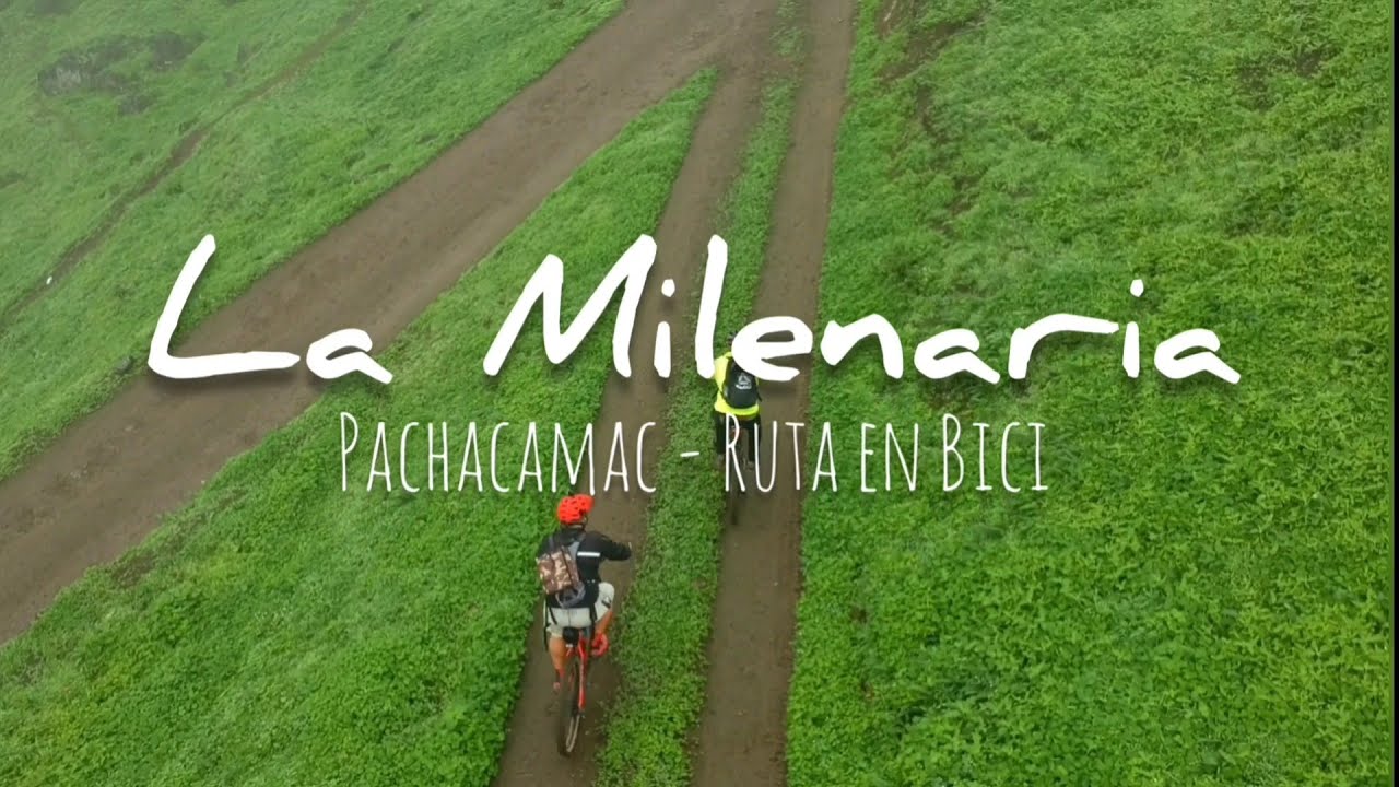 ⛰️Ruta a la Milenaria - Pachacamac en Bici / 🌳buscando el Árbol Milenario / MTB / Lomas / Todo verde