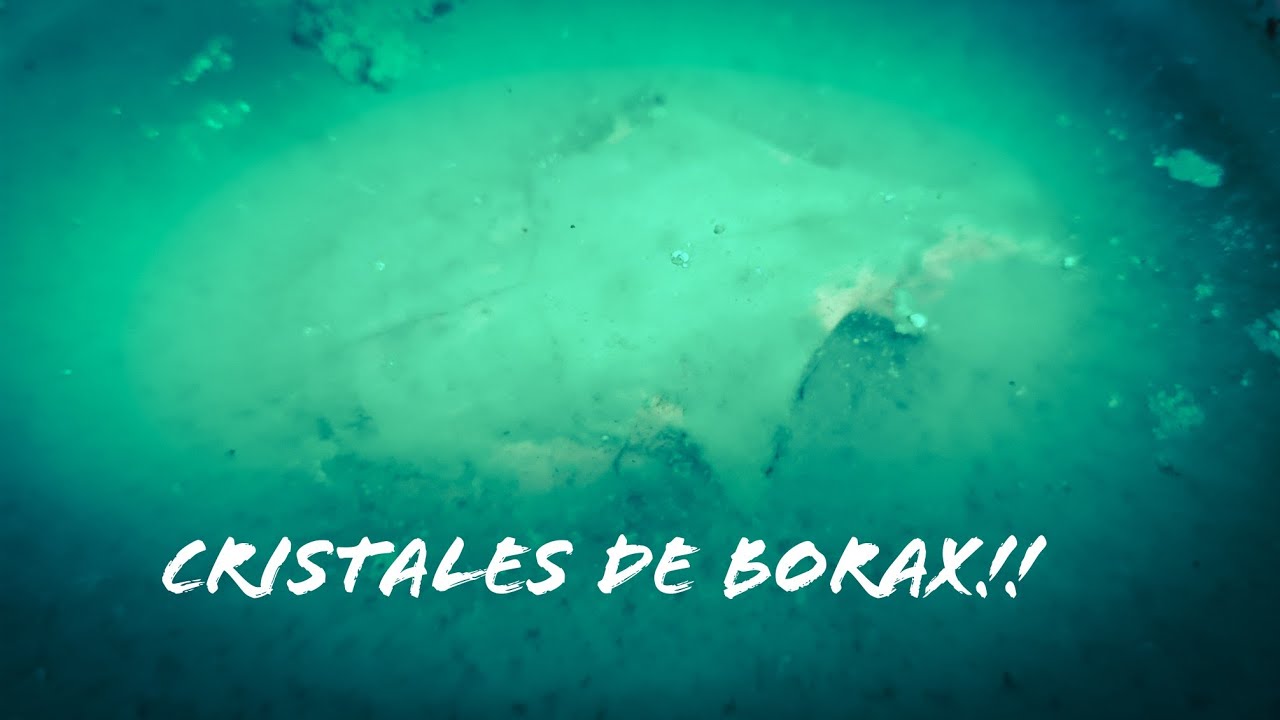 Creando cristales de borax!!