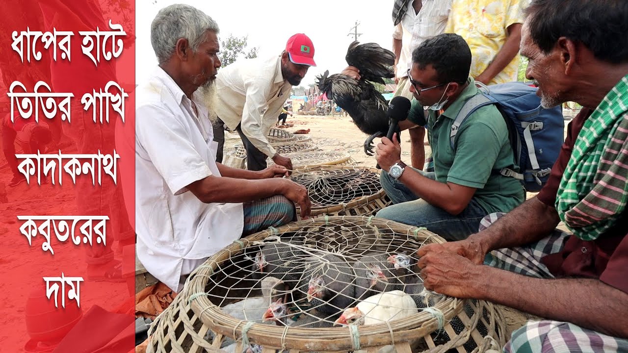 ধাপের হাটে তিতির পাখি, কাদাকনাথ মুরগি, কবুতর আর বাশের তৈরী জিনিসপত্রের দাম