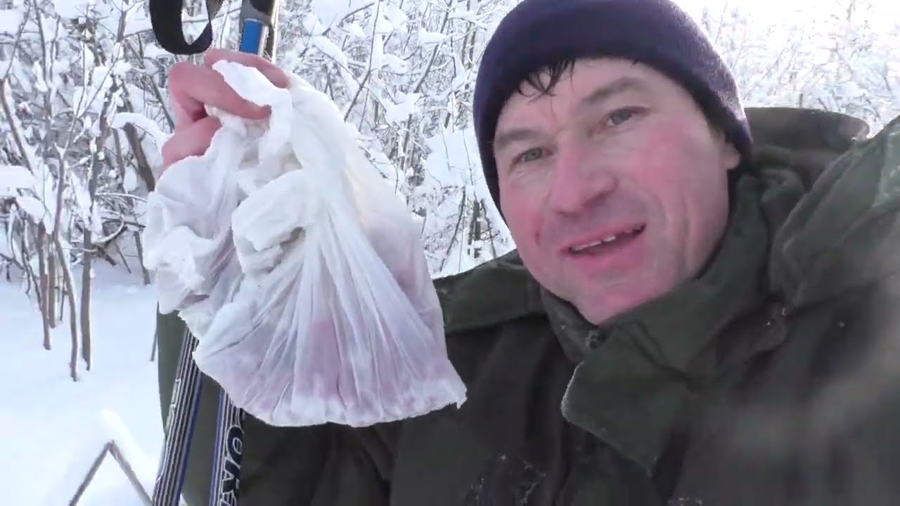 НА ЛЫЖАХ В САД! КРАСОТА И ПОЛЕЗНЫЕ НАХОДКИ ДЛЯ ЗДОРОВЬЯ