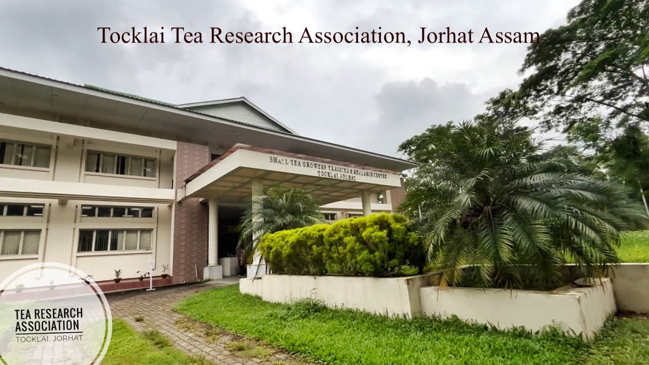 Tocklai Tea Research Institute, Jorhat || Campus Tour