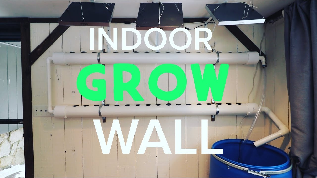 Build a Hydroponic Grow Wall Inside - Grow Plants Year Round and Save Money!