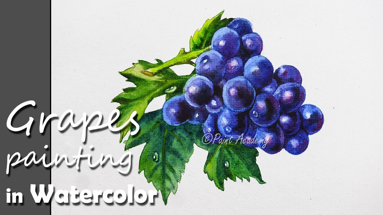 How to Paint Grapes in Watercolor with Leaves | step by step video