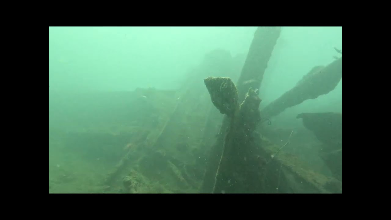 Diving at SS Inchkeith, Havelock, Andaman Islands. First time diving with a camera. 