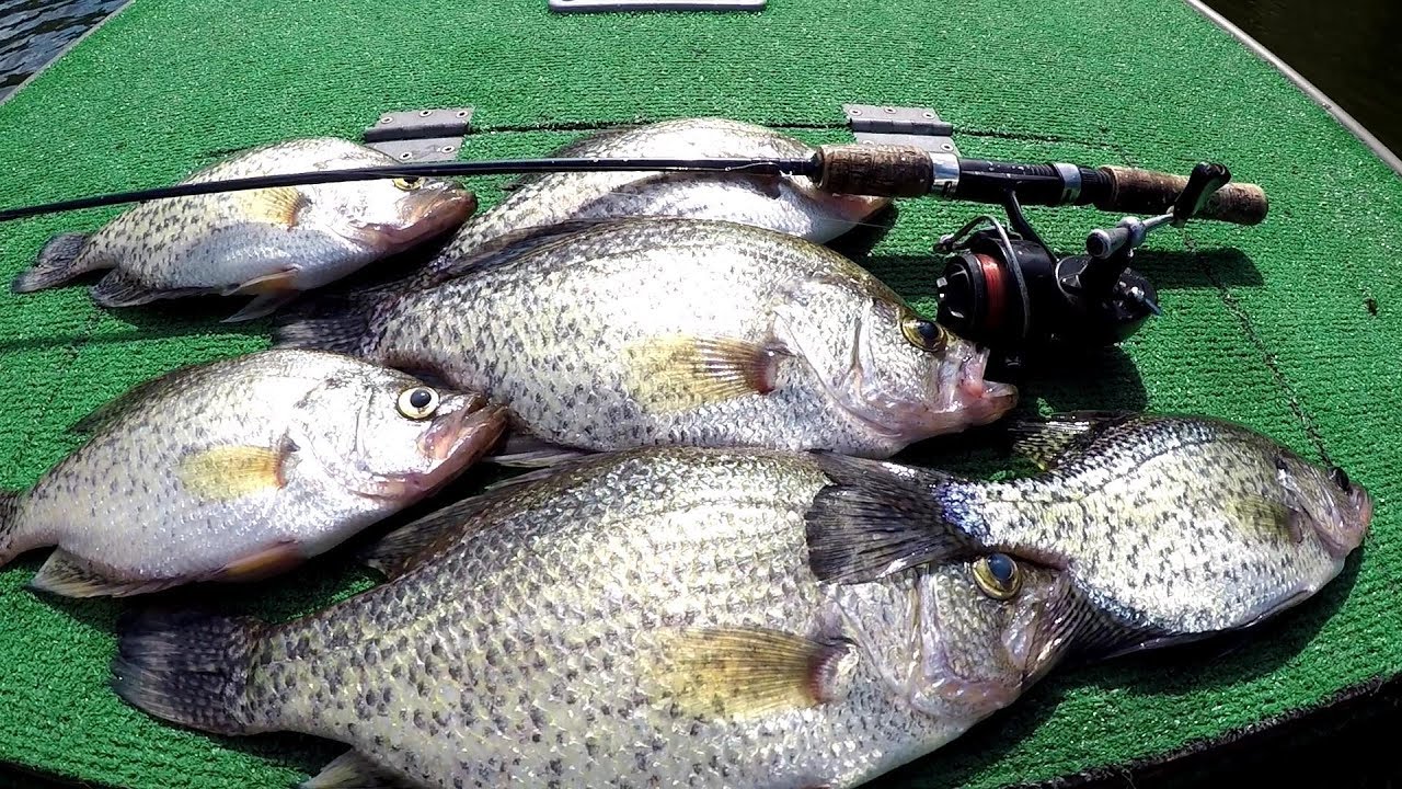 SLAB CRAPPIE!!! Fall Crappie Fishing 2018