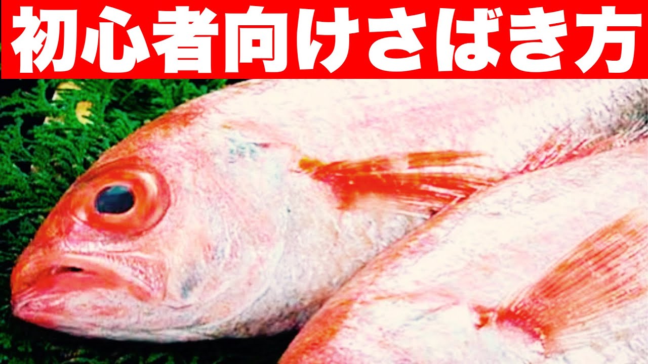 全身脂まみれの高級魚　のどぐろ【喉黒】のさばき方　家庭であなたにも簡単に出来る方法