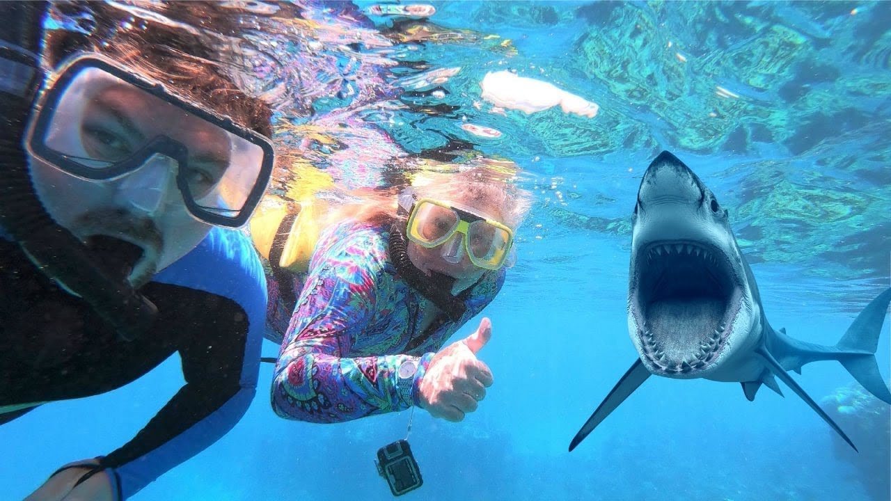 Snorkeling for Beginners, Great Barrier Reef Coral Coming Back? Bob Dingo & Mum