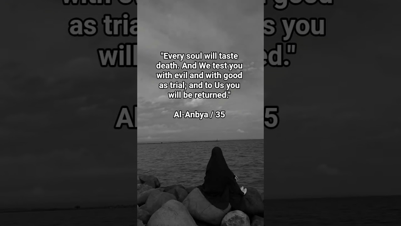 Return to salah before u return to Allah 🥺😭 #quran #salah#muslim#islam#akhirahreminder#youtubeshorts