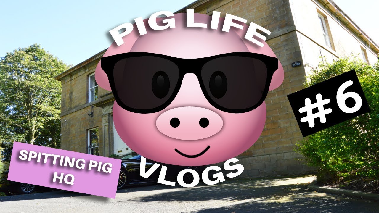Pig Life Vlog - HQ Training Day!