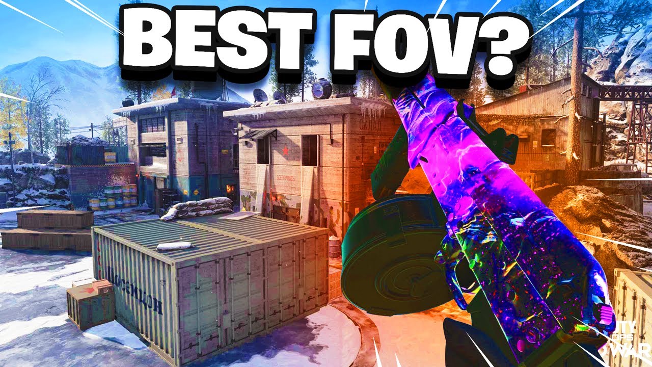 Black Ops Cold War - What Fov Should You choose