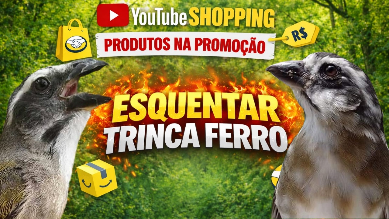 CANTO DO TRINCA FERRO QUE ESTIMULA CANTAR ESQUENTAR TRINCA FERRO