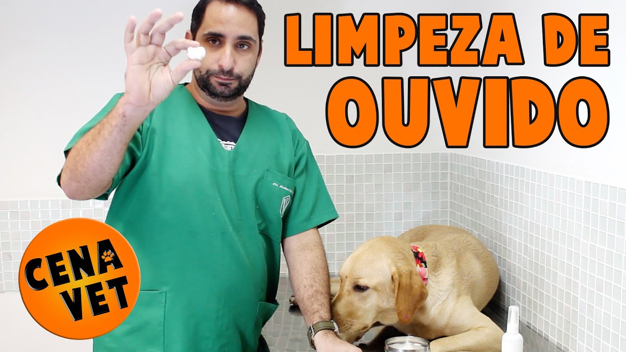 Cena Vet - Limpeza De Ouvido - Cães e Gatos - Como limpar?