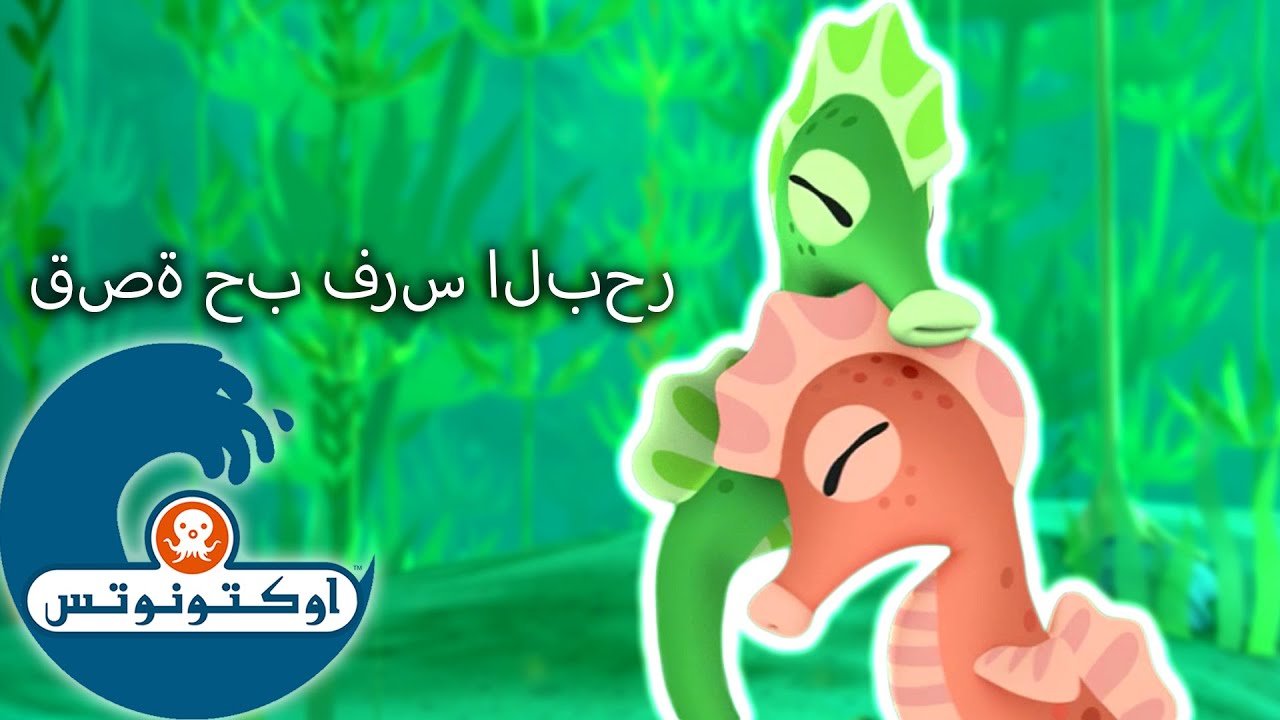 أوكتونوتس | قصة حب فرس البحر | حلقات مُجمعّة