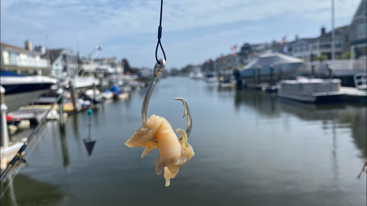 Fishing The Bay of Ocean City