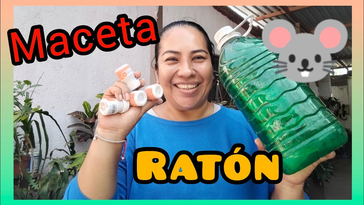 Maceta de animalito MACETA RATÓN con botellas de plástico 