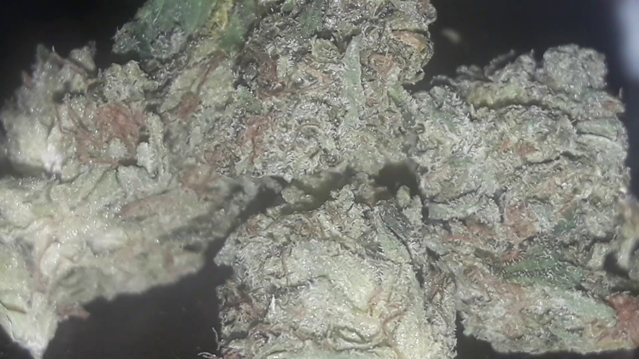 Pink Kush review before bed.