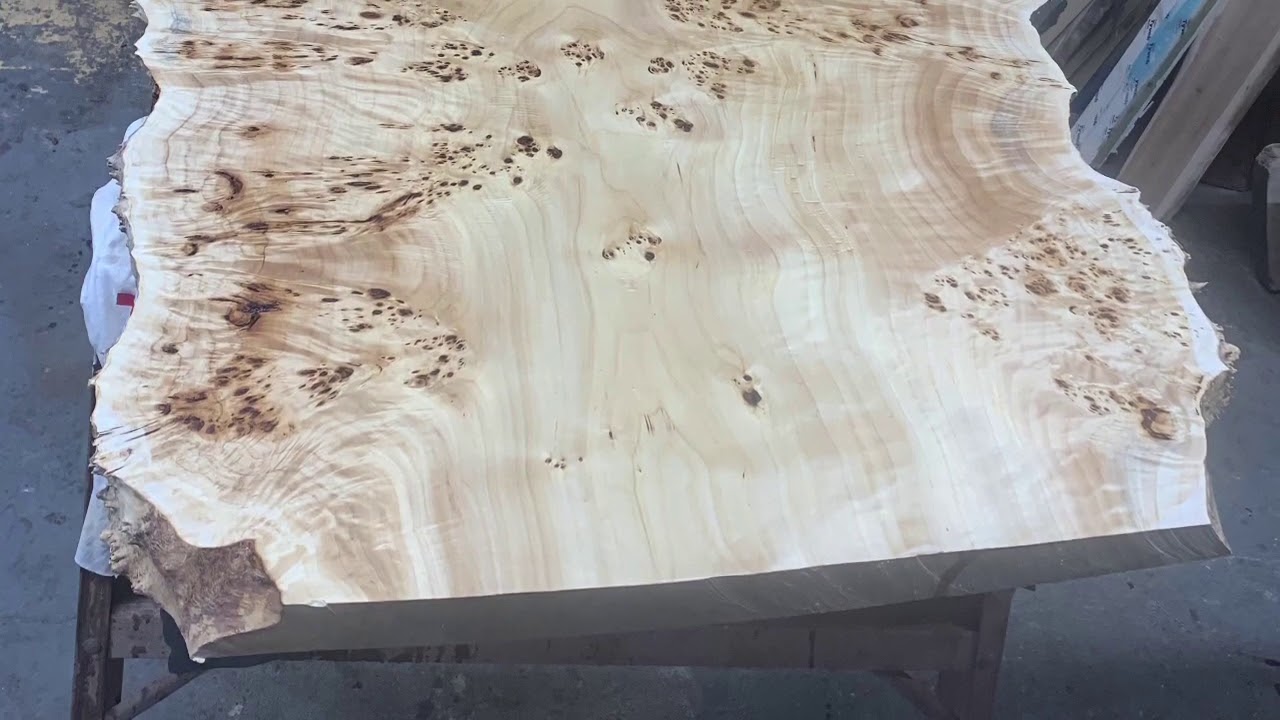 Mappa Maple Burl Coffee Table