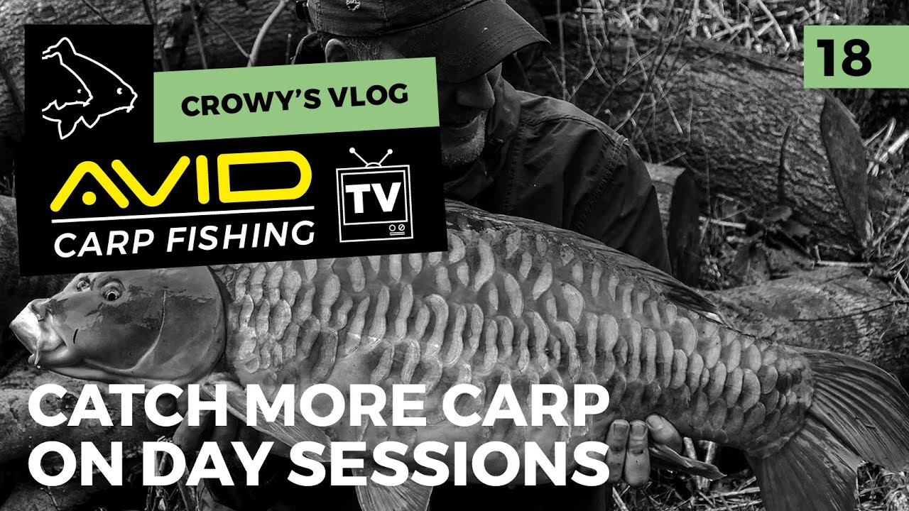 Catch More Carp On Day Sessions | Crowys Vlog | 018 | Avid Carp Fishing TV!