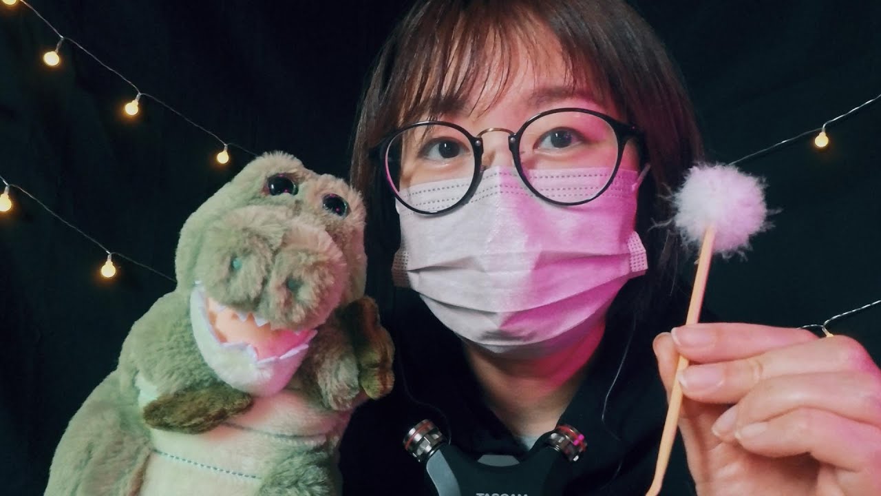 【ASMR】新しい相棒が増えました🐊New Friend Joined!/새로운 친구가 생겼어요