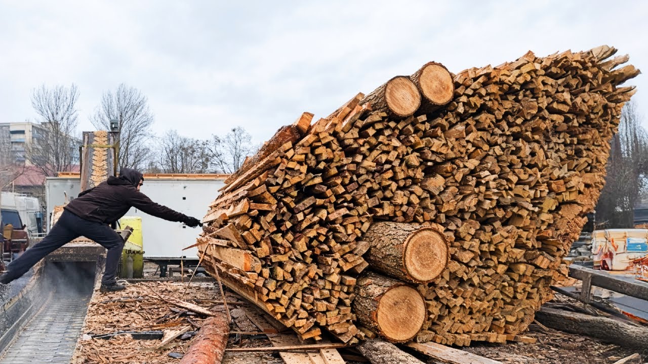 Maximum Overload Wood Chipping Operation 24/7