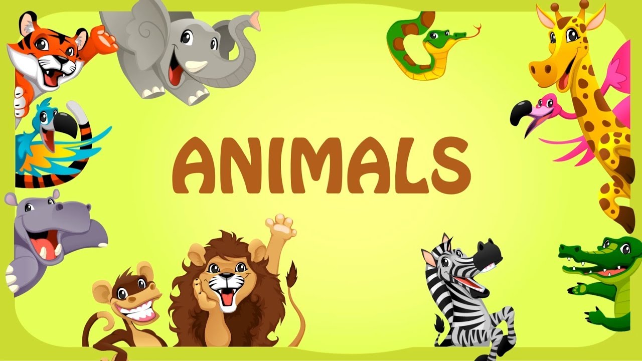 Learning animals names from A to Z | Learn alphabet with cartoon animals | Animal Learning Video