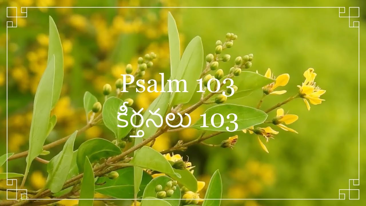 Telugu Bible |  Audio | Psalm 103 | పరిశుద్ధ గ్రంథము | కీర్తనలు 103 | Sravanthi  | Sunil Solomon