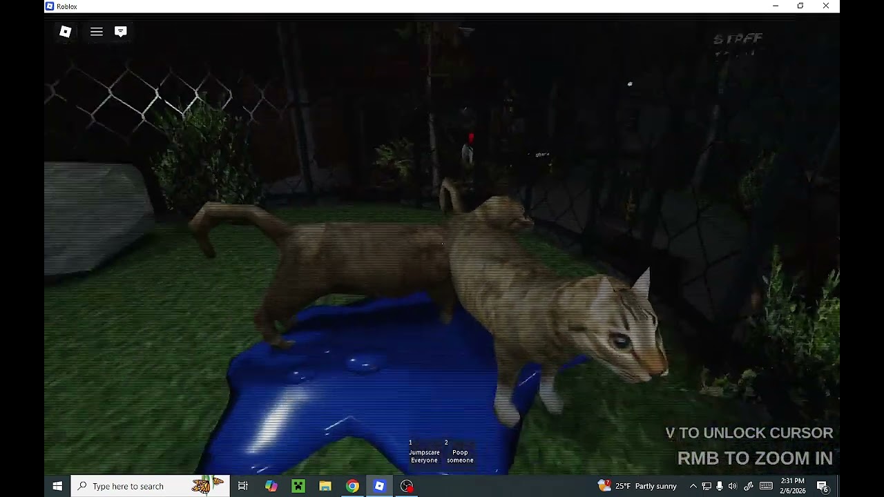 me and lily played midnight zoo