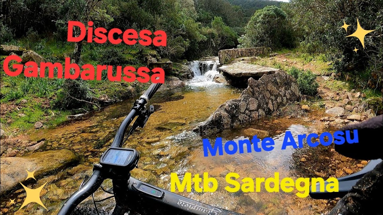 MTB SARDEGNA- Sentiero Gambarussa (Parco naturale Monte Arcosu) 08.03.26