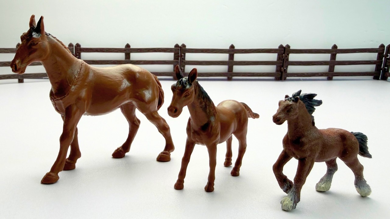 All About Horses! 🐴 Colors, Sizes & Counting for Toddlers