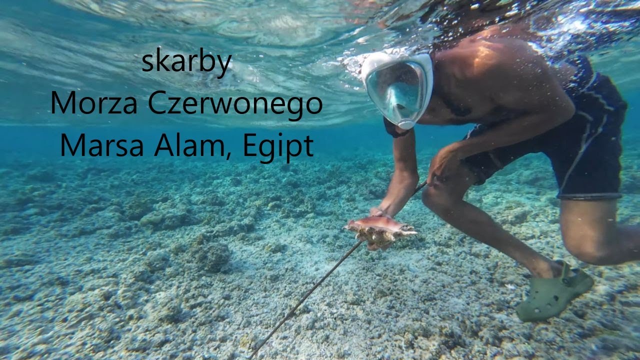 Małe skarby Morza Czerwonego, Marsa Alam w Egipcie
