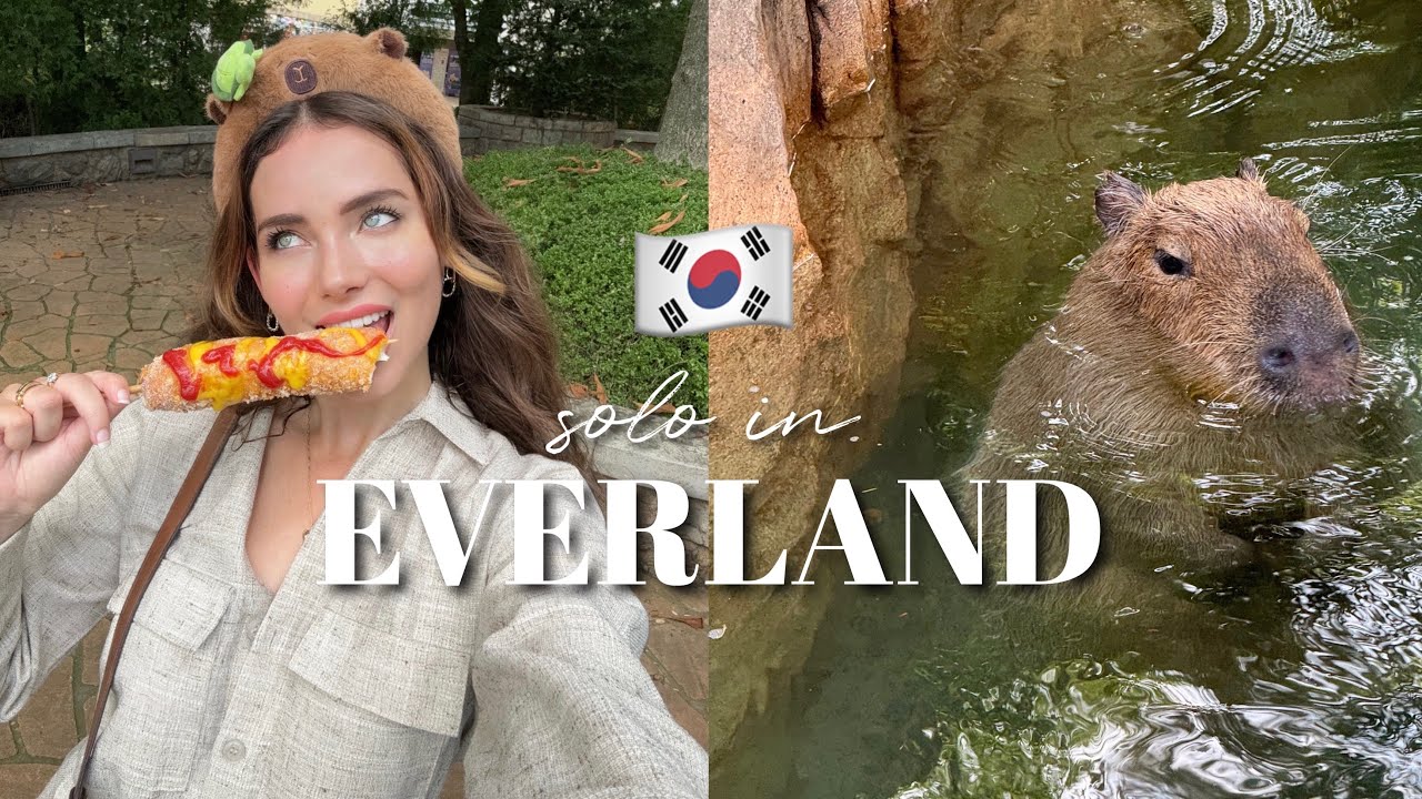 SOLO in SOUTH KOREA VLOG 🇰🇷 let's go to everland together!